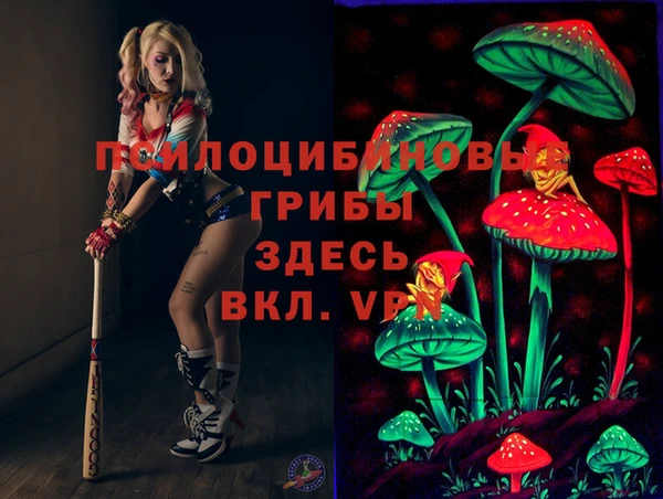 сатива Армянск
