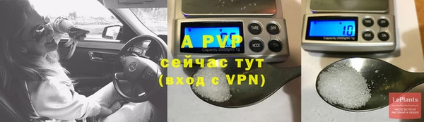 ГАЛЛЮЦИНОГЕННЫЕ ГРИБЫ Карпинск