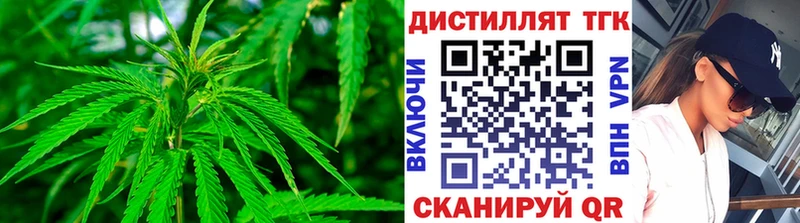 купить закладку  Озёрск  ТГК концентрат 