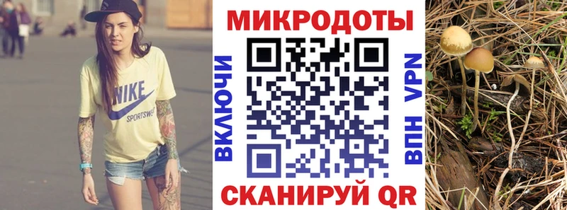 kraken ТОР  Озёрск  Псилоцибиновые грибы Magic Shrooms  купить закладку 